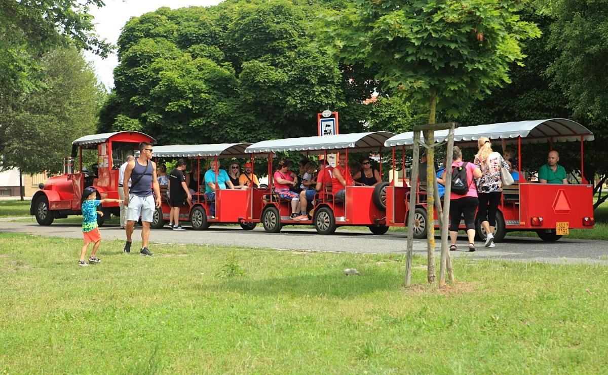 Apartma V Srdci Podebrad Poděbrady Kültér fotó